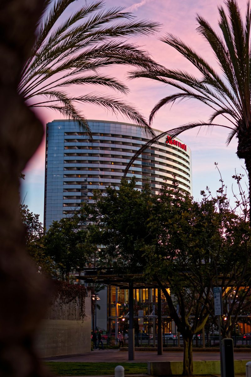 Luxusresort in Kalifornien mit Pool, Palmen & Sonnenuntergang