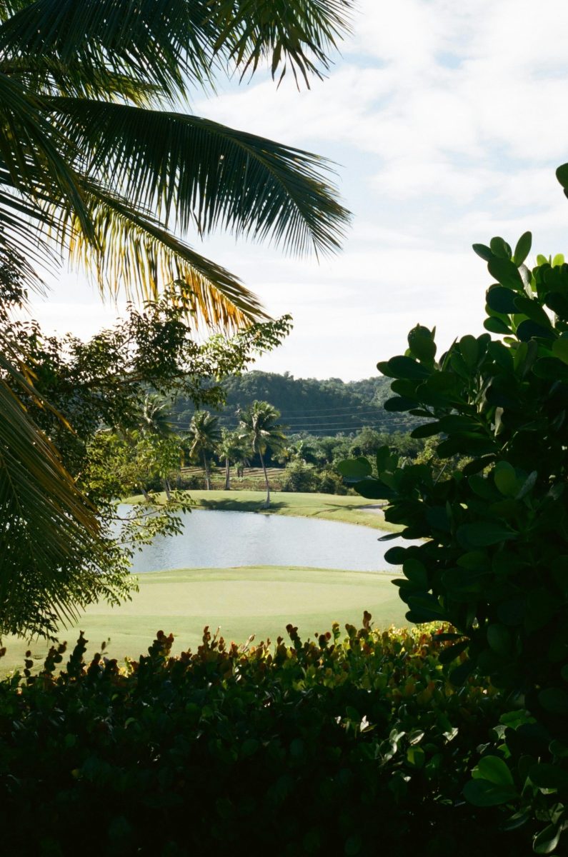 Golfplatz am Meer auf Mauritius mit türkisblauem Wasser und Palmen